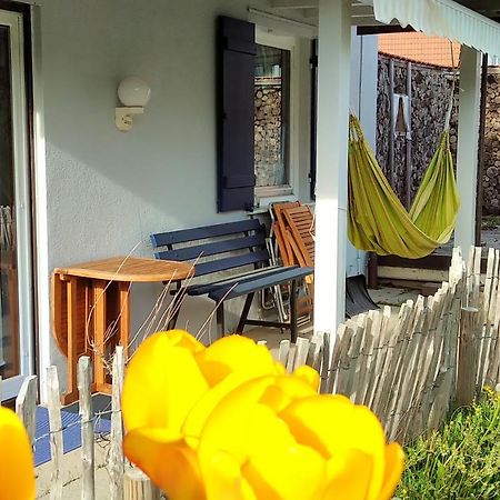 Ferienwohnung Schuhmacherwerkstatt Wilhelm Wendel Loßburg Exterior foto